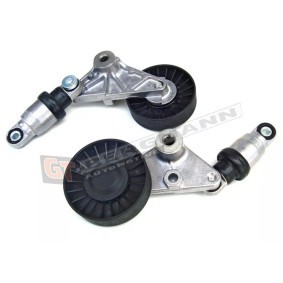 Comprar Brazo tensor, correa poli V de GT-BERGMANN GT51-048 a bajo precio de 62,95 €