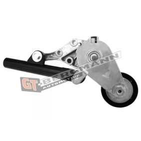 Comprar Brazo tensor, correa poli V de GT-BERGMANN GT51-050 a bajo precio de 76,19 €
