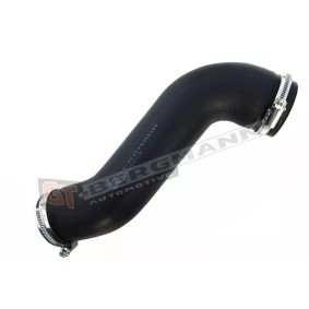 Compre Tubo flexível do ar de sobrealimentação da GT-BERGMANN GT52-186 a um preço baixo por 31,37 €
