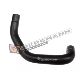 Acquista Flessibile radiatore da GT-BERGMANN GT52-202 a buon mercato per soli 6,18 €