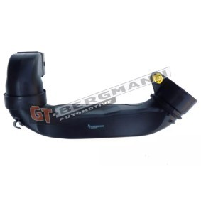 Comprar Tubo flexible de aspiración, filtro de aire de GT-BERGMANN GT52-255 a bajo precio de 40,86 €