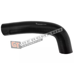 Comprar Tubo flexible de aspiración, filtro de aire de GT-BERGMANN GT52-291 a bajo precio de 28,30 €
