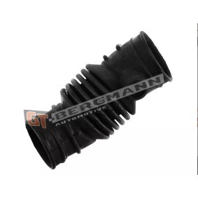 Comprar Tubo flexible de aspiración, filtro de aire de GT-BERGMANN GT52-349 a bajo precio de 21,72 €