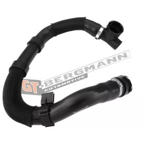 Acquista Flessibile radiatore da GT-BERGMANN GT52-352 a buon mercato per soli 48,74 €