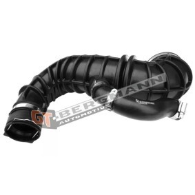 Ansaugschlauch, Luftfilter von GT-BERGMANN GT52-415