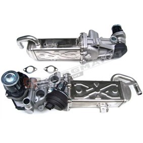 Acquista Modulo EGR da GT-BERGMANN GT55-001 a buon mercato per soli 160,71 €