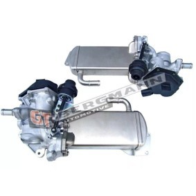 Acquista Modulo EGR da GT-BERGMANN GT55-002 a buon mercato per soli 371,55 €