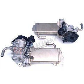 Acquista Modulo EGR da GT-BERGMANN GT55-003 a buon mercato per soli 347,95 €