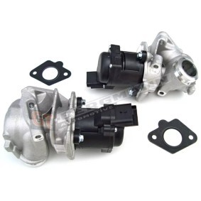 Acquista Valvola EGR da GT-BERGMANN GT55-004 a buon mercato per soli 168,42 €