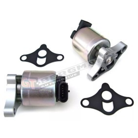 Acquista Valvola EGR da GT-BERGMANN GT55-005 a buon mercato per soli 44,83 €