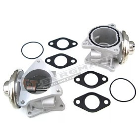 Acquista Valvola EGR da GT-BERGMANN GT55-007 a buon mercato per soli 46,67 €