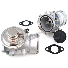 Acquista Valvola EGR da GT-BERGMANN GT55-008 a buon mercato per soli 83,34 €