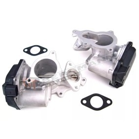 Acquista Valvola EGR da GT-BERGMANN GT55-009 a buon mercato per soli 101,13 €