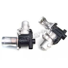 Acquista Valvola EGR da GT-BERGMANN GT55-010 a buon mercato per soli 202,72 €