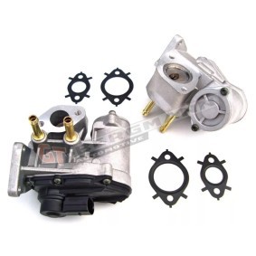 Acquista Valvola EGR da GT-BERGMANN GT55-011 a buon mercato per soli 90,40 €