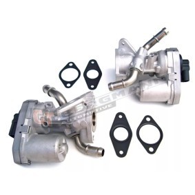 Acquista Valvola EGR da GT-BERGMANN GT55-012 a buon mercato per soli 92,17 €