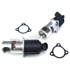 Acquista Valvola EGR da GT-BERGMANN GT55-013 a buon mercato per soli 104,62 €