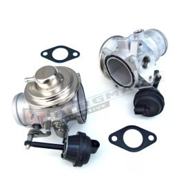 Acquista Valvola EGR da GT-BERGMANN GT55-014 a buon mercato per soli 66,90 €