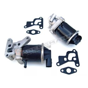Acquista Valvola EGR da GT-BERGMANN GT55-015 a buon mercato per soli 66,90 €