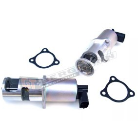 Acquista Valvola EGR da GT-BERGMANN GT55-016 a buon mercato per soli 65,09 €