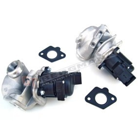 Acquista Valvola EGR da GT-BERGMANN GT55-017 a buon mercato per soli 137,68 €
