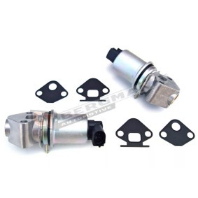 Acquista Valvola EGR da GT-BERGMANN GT55-019 a buon mercato per soli 54,10 €
