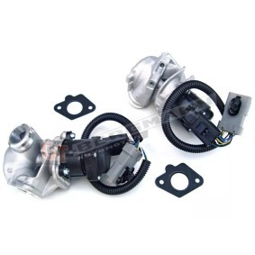 Acquista Valvola EGR da GT-BERGMANN GT55-020 a buon mercato per soli 110,40 €