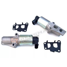 Acquista Valvola EGR da GT-BERGMANN GT55-025 a buon mercato per soli 68,71 €