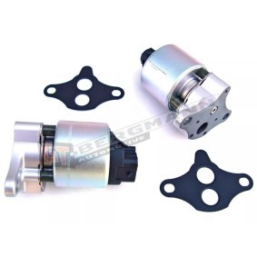 Acquista Valvola EGR da GT-BERGMANN GT55-028 a buon mercato per soli 33,61 €