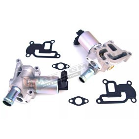 Acquista Valvola EGR da GT-BERGMANN GT55-029 a buon mercato per soli 70,51 €
