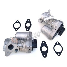 Acquista Valvola EGR da GT-BERGMANN GT55-030 a buon mercato per soli 84,95 €