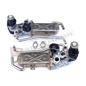 Acquista Valvola EGR da GT-BERGMANN GT55-032 a buon mercato per soli 161,25 €