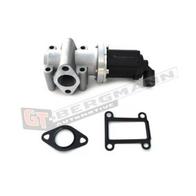 Acquista Valvola EGR da GT-BERGMANN GT55-036 a buon mercato per soli 55,92 €