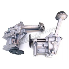 Achetez des Pompe à huile GT-BERGMANN GT56-009 à prix pour 51,15 €