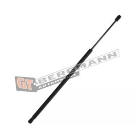 Heckklappendämpfer GT72-005