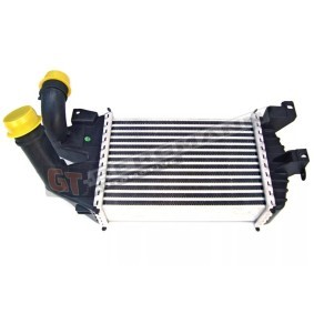 Köp Intercooler av GT-BERGMANN GT96587 till det låga priset 1100,45 kr