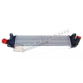 Köp Intercooler av GT-BERGMANN GT96689 till det låga priset 878,60 kr
