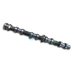 Nockenwelle 10013000105