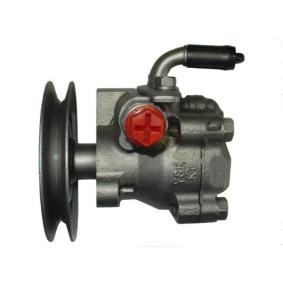 Servopumpe 52849