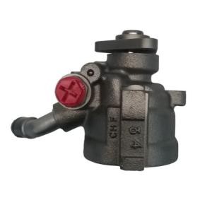 Achetez des Pompe de direction assistée SPIDAN 52878 à prix pour 418,96 €