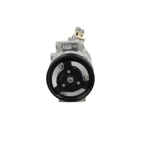 Acquista Compressore aria condizionata da BV PSH 090.445.006.905 a buon mercato per soli 460,22 €