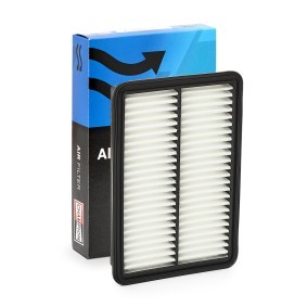 Luftfilter CAF101239P