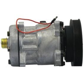 Acquista Compressore aria condizionata da ROTOVIS Automotive Electrics FRC00040 a buon mercato per soli 199,49 €