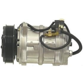 Acquista Compressore aria condizionata da ROTOVIS Automotive Electrics FRC14981 a buon mercato per soli 290,10 €