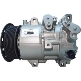 Klimakompressor von ROTOVIS Automotive Electrics