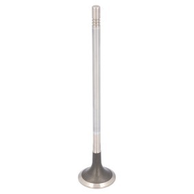 Comprar Válvula de escape de FEBI BILSTEIN 183940 a bajo precio de 23,22 €