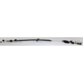Acquista Cavo cambio da TRISCAN online per Kuga Mk2 (DM2) a prezzi moderati