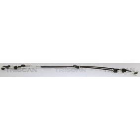 Acquista Cavo cambio da TRISCAN online per Kuga Mk2 (DM2) a prezzi moderati