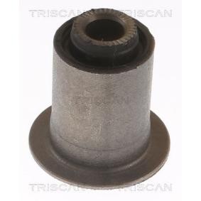 Acquista Supporto braccio oscillante da TRISCAN 8500 13883 a buon mercato per soli 20,93 €
