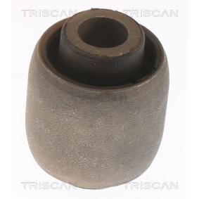 Acquista Supporto braccio oscillante da TRISCAN 8500 13884 a buon mercato per soli 7,16 €